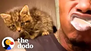 Guy Who Has Never Had A Pet Rescues A Kitten | The Dodo