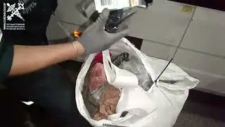 40-летний белорус пытался скрыть от таможенного контроля 280 единиц одежды