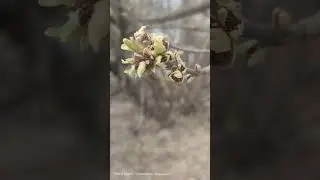 Какая же это красота!