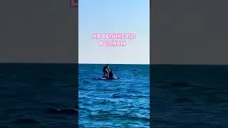 😱ЧЕГО ТОЛЬКО НЕ ПРИДУМАЮТ - САП И ВЕЛОСИПЕД #море #Марияlifestyle #сочи #отдых