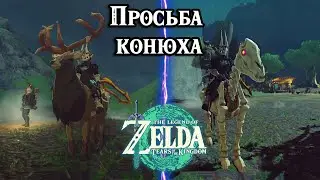 Просьба конюха. The Legend of Zelda Tears of the Kingdom. The Horse Guard's Request