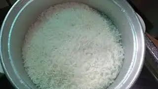 Cooking Rice with a Rice Cooker