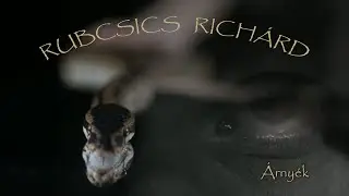 Rubcsics Richárd (Ossian): Árnyék - Énséges Idők album 2023 (hivatalos videoklip)