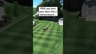 #mowing #satisfying #landscaping #reelmower #lawnlife #beforeandafter #pov #oddlysatisfying