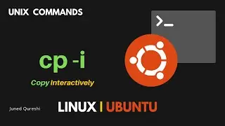 How to Interactively Copy Files to a Linux Directory | cp -i Command in Linux