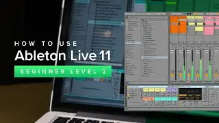 Ableton Live 11 Beginner Level 2 - Introduction & Using Groove Pool