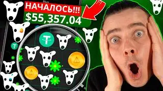 ⚠️ BLUM - СРОЧНО❗МАСШТАБНОЕ ОБНОВЛЕНИЕ❗НАС ЖДЕТ WALLET, CRYPTO DROP И MEMEPAD! БЛУМ РАЗДАСТ МЕМ ДОГС