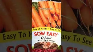 Growing Carrots in Your Garden: Easy Tips for a Perfect Harvest!