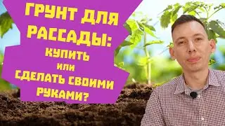 Грунт для рассады: купить или сделать его своими руками?