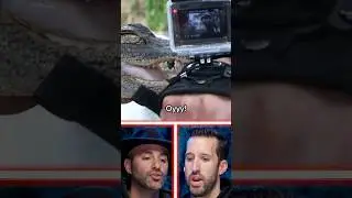 ER Doctor & Coyote Peterson REACT to Bites From Brave Wilderness