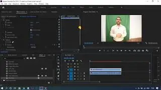 How to remove Bad Green Screen in Adobe Premiere Pro | Best tutorial for Green Screen 2020