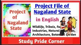 Nagaland Art Integrated Project File | Project File of Nagaland | Project File of Nagaland State