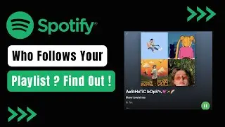 How To See Who Follows Your Playlist On Spotify !