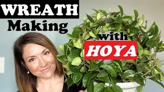 Making a Wreath | Hoya Wreath using Plant Hoop!