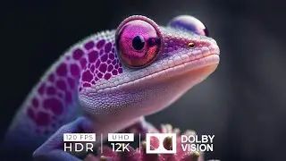 4K HDR 60fps COLORFULLY DYNAMIC with Calming Music