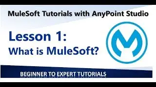 Lesson 1 -  What is MuleSoft, What is AnyPoint