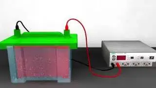 Western Blotting Animation - Part III