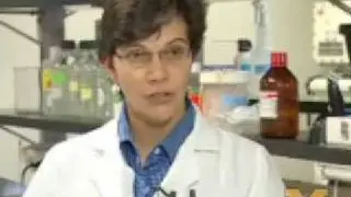 Stem Cells in Pancreatic Cancer