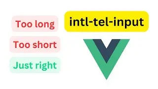 intl-tel-input Specific Error Messages [VUE.JS]