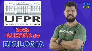 UFPR 2022 - Questão 10 - Em relação ao processo de fotossíntese nas plantas é correto afirmar que