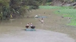 Three Months after flooding at the park