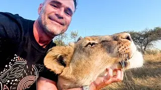 Helping My LION Best Friend | The Lion Whisperer