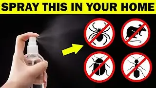 Never See Flies or Mosquitoes Again with This One Trick