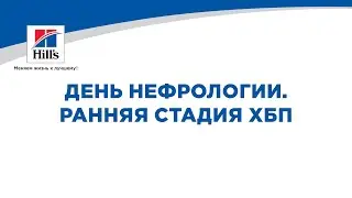 День ветеринарной нефрологии. Ранняя стадия ХБП.