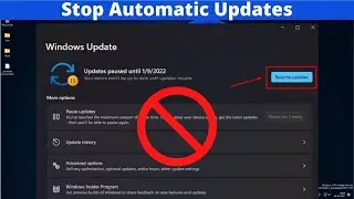 6 Actionable Ways to Stop Automatic Updates in Windows 11 (Permanently or Temprarily)