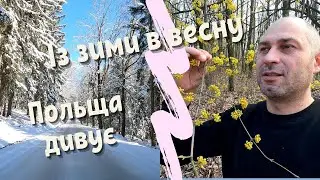 ІЗ ЗИМИ В ВЕСНУ, НЕЗВИЧАЙНИЙ КУРС В ТАКСІ. ЖИТТЯ ТА РОБОТА В ПОЛЬЩІ 2023