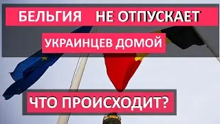 Почему БЕЛЬГИЯ НЕ ОТПУСКАЕТ украинцев. Сколько получают беженцы в Бельгии и как получить работу