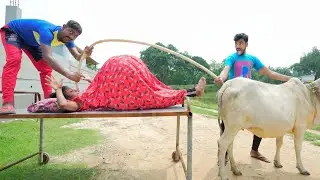 Very Special New Trending Funny Comedy Video2023😂Amazing Comedy Video 2023,Ep 222 By @MYFAMILYComedy