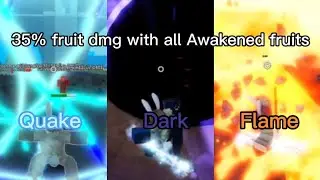 All awakened fruits with the best dmg accessory  (king legacy)