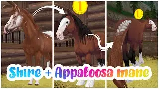 [SSO CHEATS] Giving Shire mane from Appaloosa
