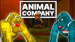 Animal Company Is FUN…..