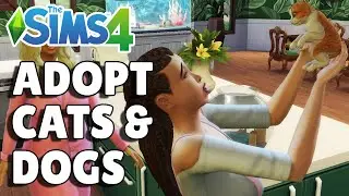 How To Adopt A Pet | The Sims 4 Cats & Dogs Guide