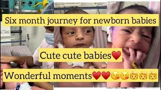 Six month journey for newborn babies #cute cute babies#ankur maitrika hsopital jammu ♥️♥️♥️🥰🥰🥰🥰😌😌😌😌