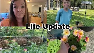 Life Update || Large Family Vlog