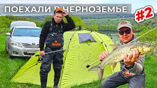 СМЕНИЛИ РЕЧКУ И НАШЛИ РЫБУ! / ЗА ГОЛАВЛЁМ И ЖЕРЕХОМ В ЧЕРНОЗЕМЬЕ #2