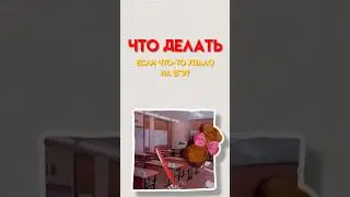 Что делать, если что-то уронил на ЕГЭ #обществознание #егэобществознание #обществознаниеегэ