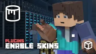 How to Enable Skins on a Minecraft Server