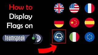 How to Display Country Flags on Clients in TeamSpeak 3 (TS3)