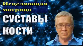 КВАНТОВОЕ ИСЦЕЛЕНИЕ КОСТЕЙ (СУСТАВОВ) - ОПОРНО ДВИГАТЕЛЬНЫЙ АППАРАТ (МАТРИЦА ГАРЯЕВА)