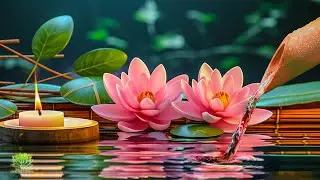 Relaxing Music Healing Stress,  Anxiety and Depression 🌿 Sounds of Nature & Water Sound, Calm Music.