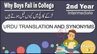 Why boys fail in college 2nd year essay - lecture in Urdu - with Translation, Mcqs, Question answers