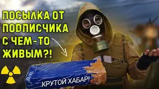 Распаковка посылки от подписчика☢️S.T.A.L.K.E.R