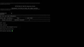 AVEIS GPON OLT Configuration with VLAN in CLI