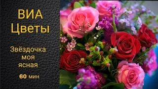 ВИА "Цветы". Звёздочка. Шестьдесят минут душевной песни для расслабления и удовольствия.