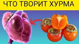 Польза Хурмы.Что творит ХУРМА с ОРГАНИЗМАМ?Польза и вред