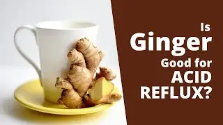 Is Ginger Good for Acid Reflux ? Does Ginger Tea Help in Symptom Relief?